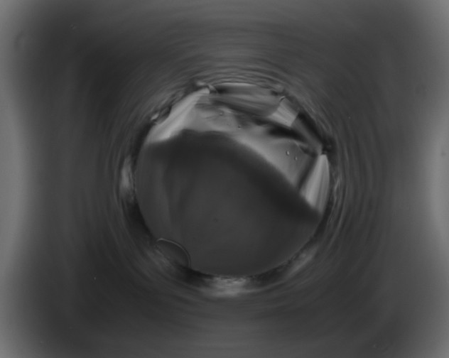 X0000083580143200703021826