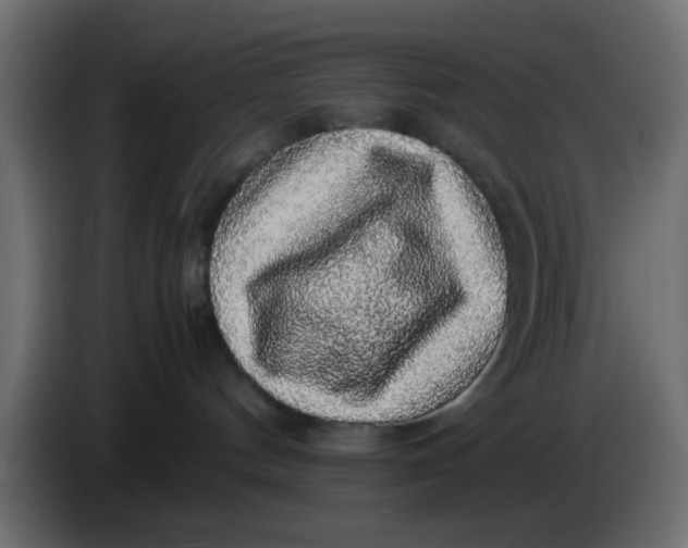 X0000083580144200703021826