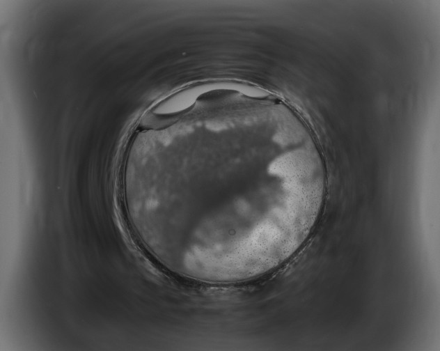 X0000083580145200703021825