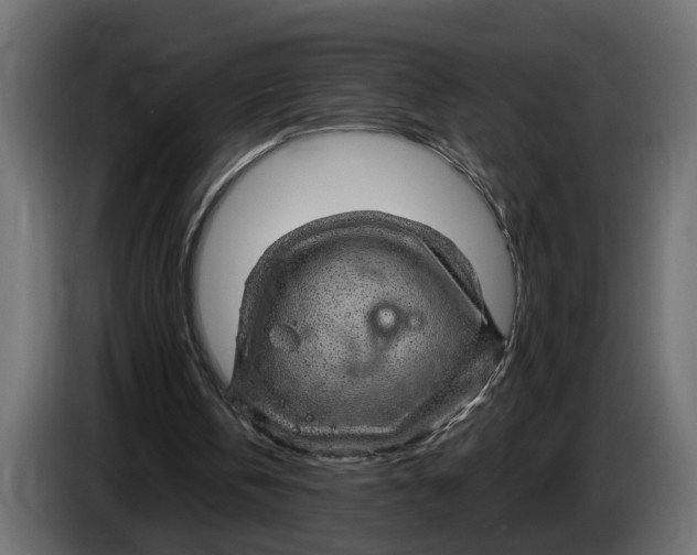 X0000083580146200703021825