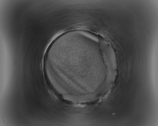 X0000083580148200703021825