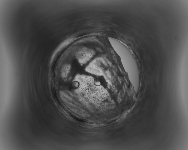 X0000083580149200703021825