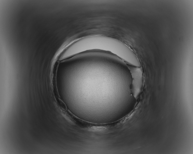 X0000083580150200703021825