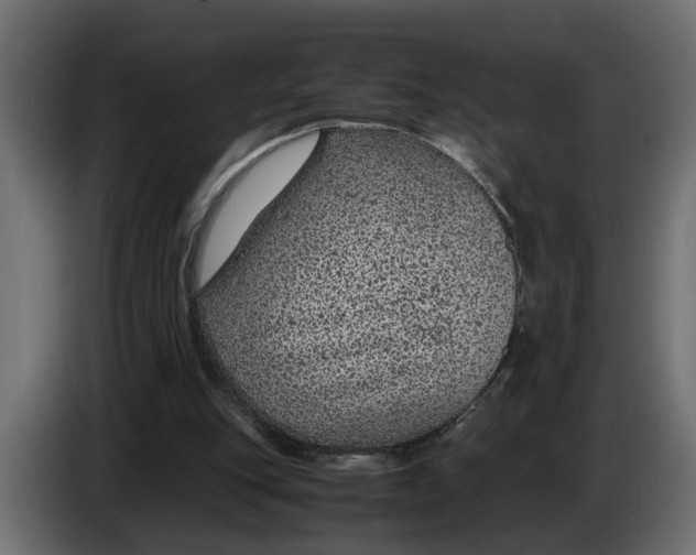 X0000083580151200703021825