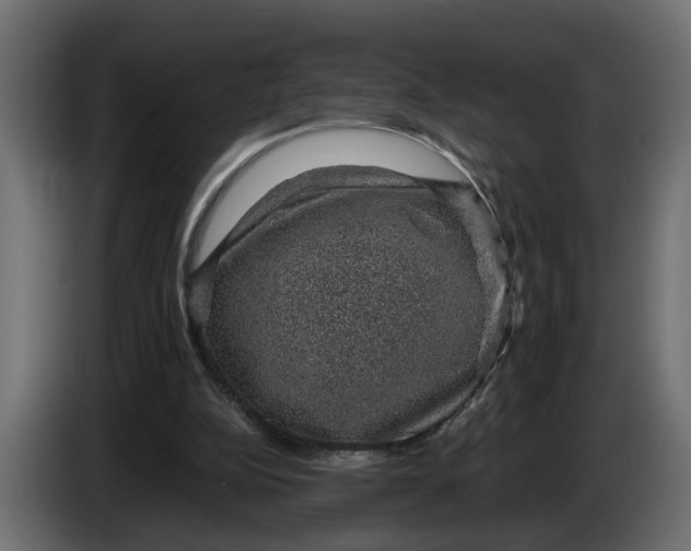 X0000083580152200703021826