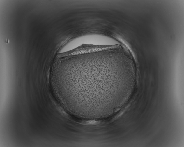 X0000083580153200703021826