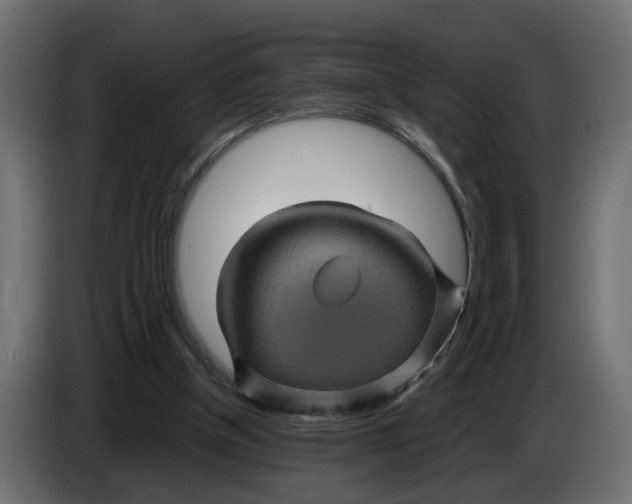 X0000083580154200703021826