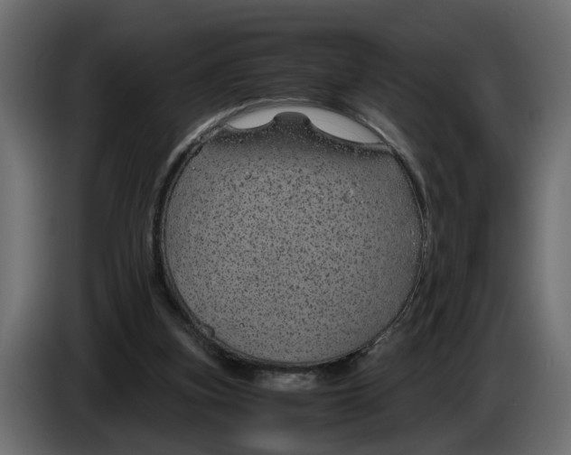 X0000083580155200703021826