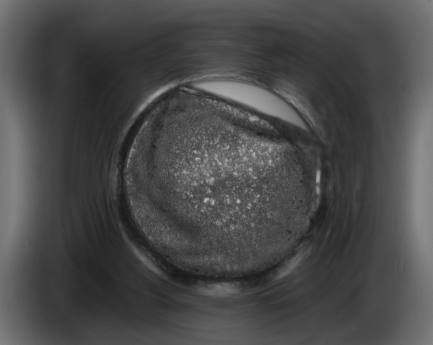 X0000083580156200703021826