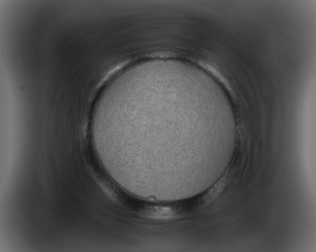 X0000083580159200703021826