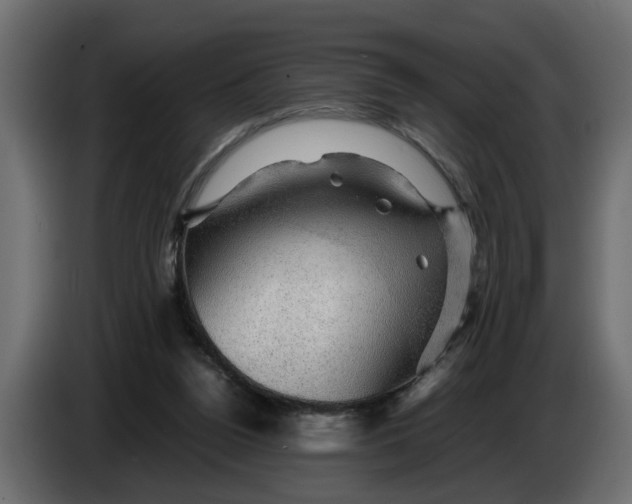 X0000083580160200703021826