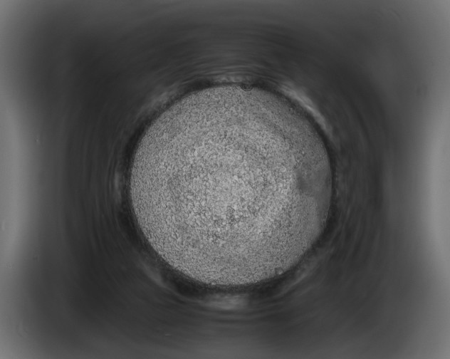 X0000083580161200703021826