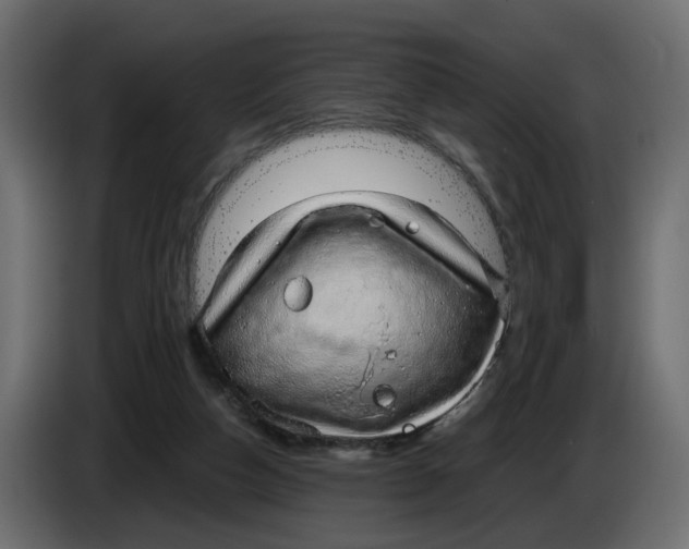 X0000083580162200703021826