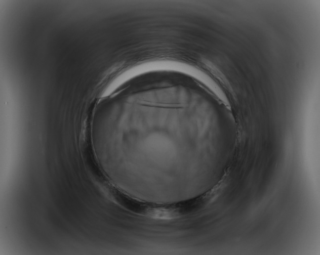 X0000083580163200703021826