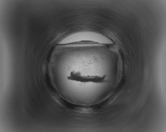 X0000083580165200703021826