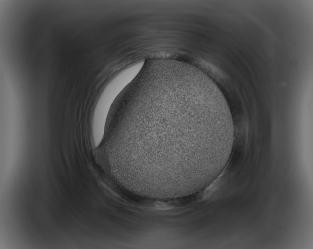 X0000083580166200703021826