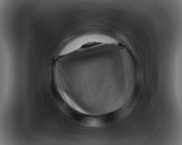 X0000083580167200703021826