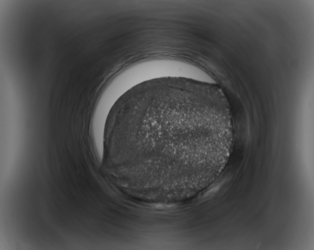 X0000083580168200703021826