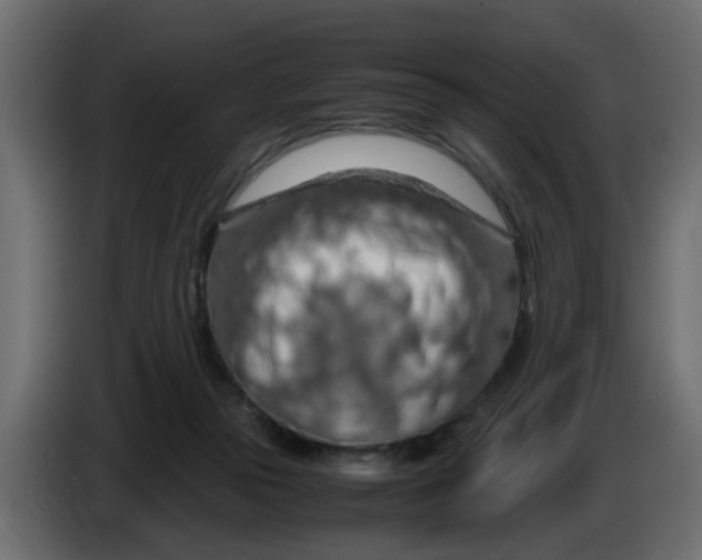 X0000083580169200703021826