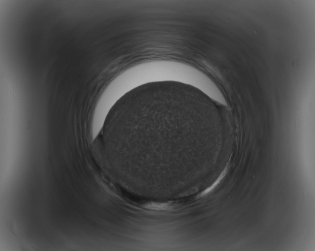 X0000083580170200703021826