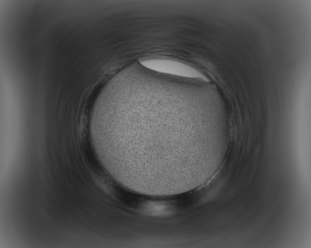 X0000083580171200703021826