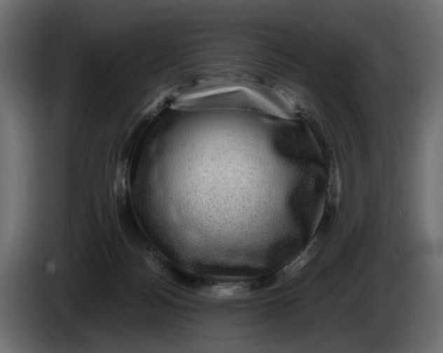 X0000083580172200703021826