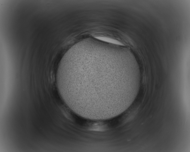 X0000083580173200703021826