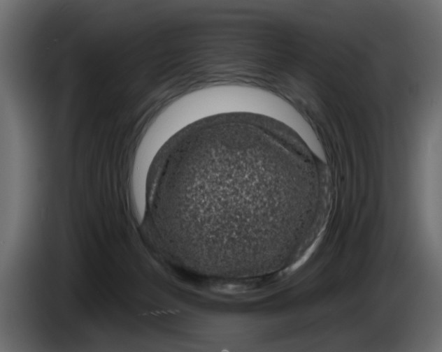 X0000083580174200703021826