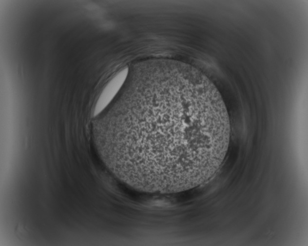 X0000083580175200703021826