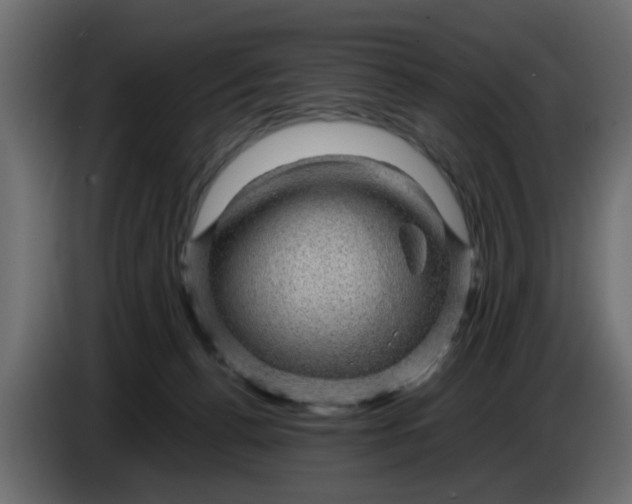 X0000083580176200703021826