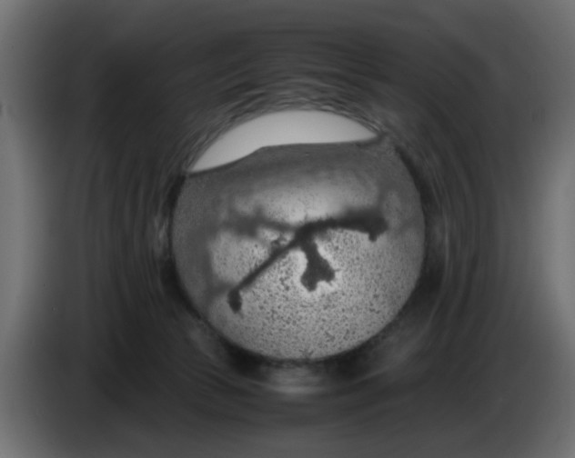 X0000083580177200703021826