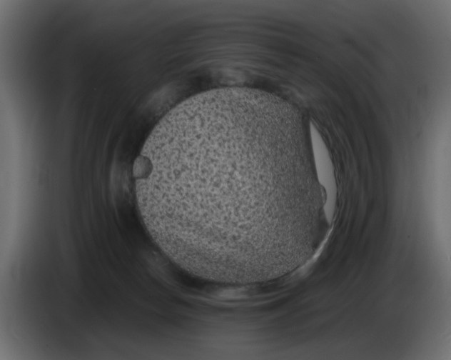 X0000083580178200703021826