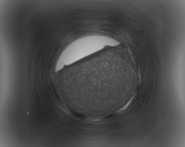 X0000083580179200703021826