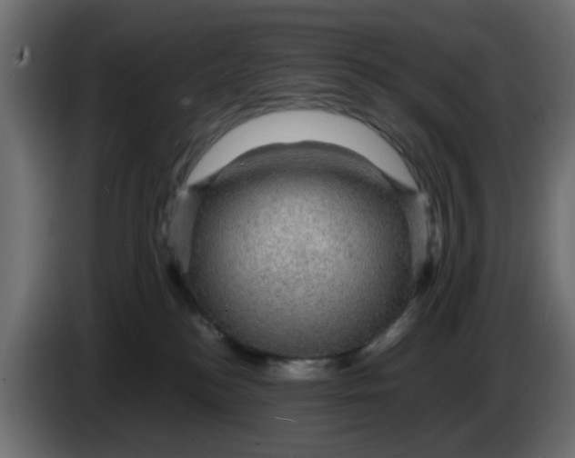 X0000083580184200703021826