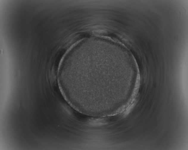 X0000083580186200703021826