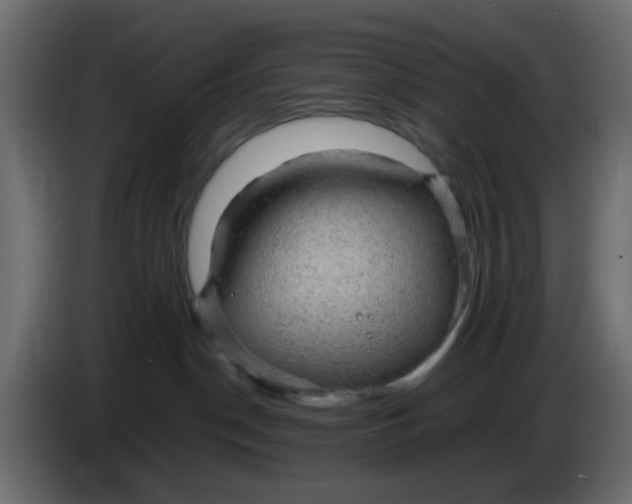 X0000083580190200703021826