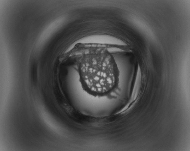 X0000083580191200703021826