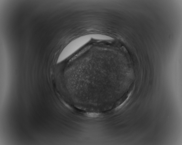 X0000083580192200703021826