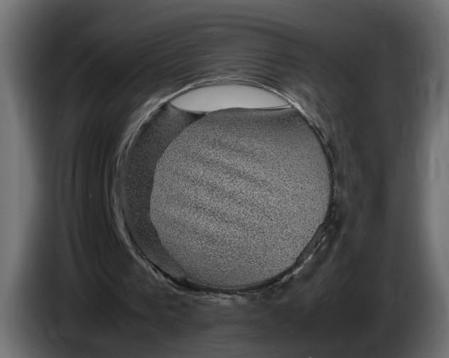 X0000083580193200703021825