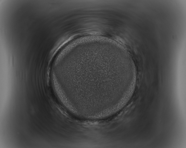 X0000083580194200703021825