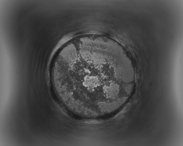 X0000083580198200703021825