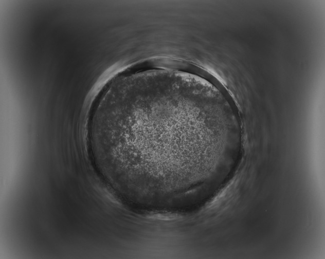 X0000083580199200703021825