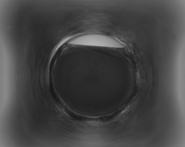 X0000083580200200703021825