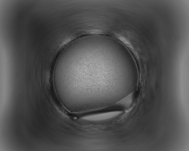 X0000083580201200703021825