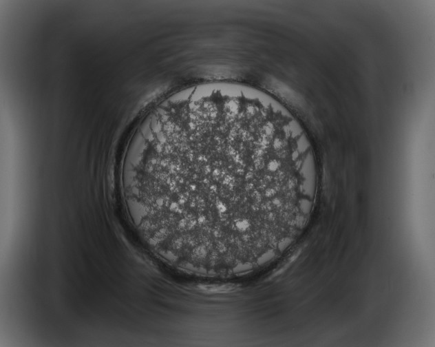 X0000083580202200703021825