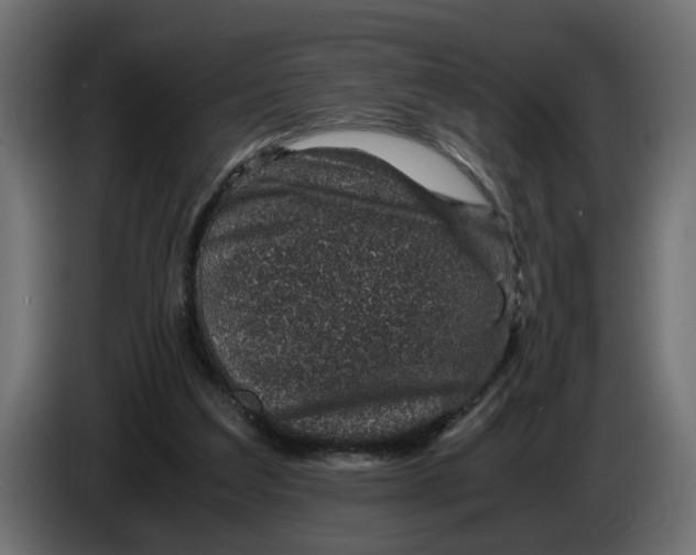 X0000083580203200703021825