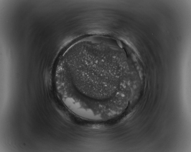 X0000083580204200703021825