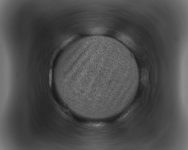 X0000083580206200703021825