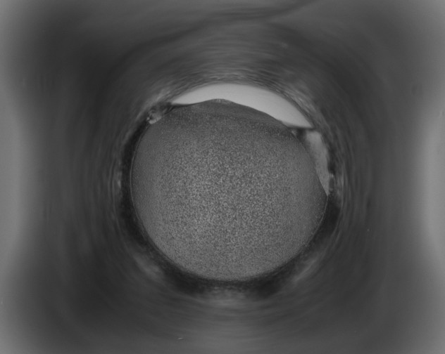 X0000083580207200703021825