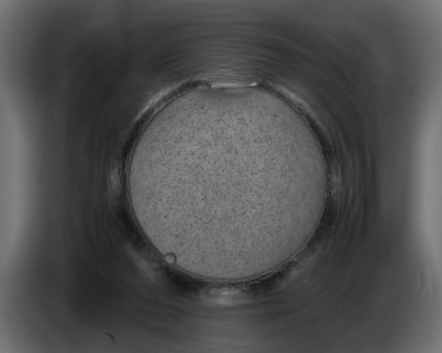 X0000083580208200703021825